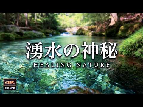 The beautiful nature of the Enbara River with its flowing spring water  - emerald green - Part 4