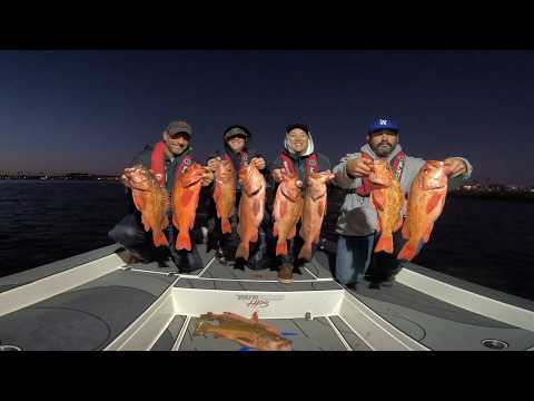 Incredible Action on Artificial! Open Party Slow Pitch Jigging for Rockfish