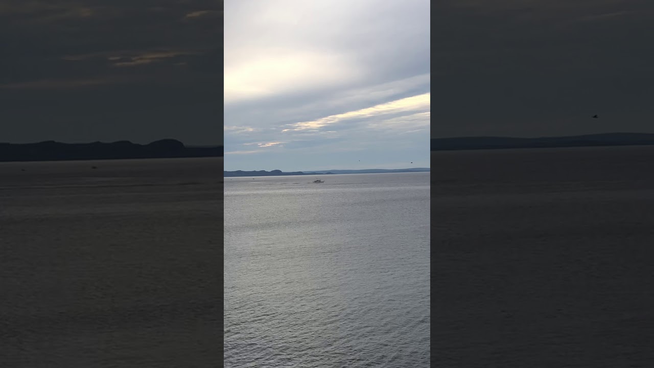 Sail On Home, Jessie Marie Corey Reynolds YouTube