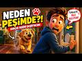 Köpeğin Neden Her Yerde Peşinde? Gerçek Sebebi Şaşırtacak! 🐶