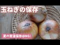 【玉ねぎの保存】夏は野菜室で保存ですよ！！（島本美由紀の野菜保存から食品ロス削減）