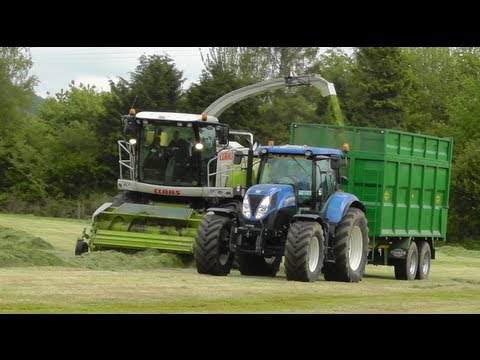 Silage 2013 -