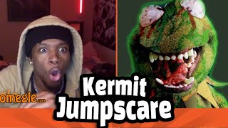 Omegle JUMPSCARE PRANK - Kermit the Frog
