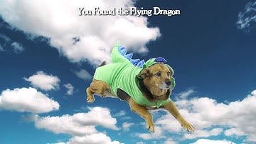 You Found Dragon #3 - Ask Doctor Jo