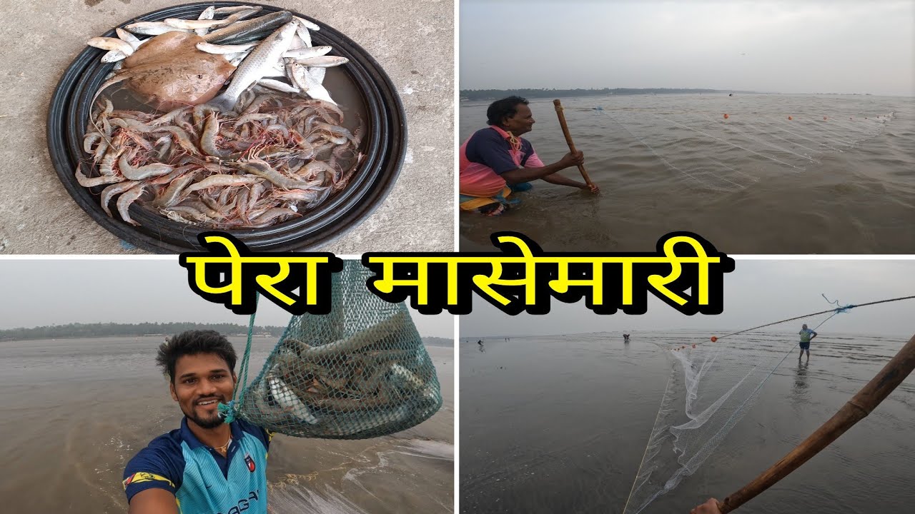 वडिलांसोबत गेलो पेरा (रापण) मासेमारी करायला. रापण मध्ये भेटली सर्व मिक्स मासळी.Mumbai Indian fishing