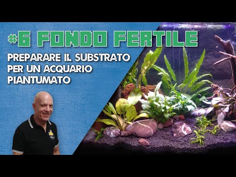 Video: Come Preparare Il Substrato Per L'acquario