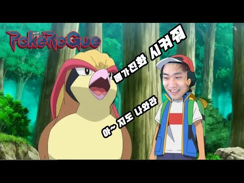 지우가 유기한 <strong>피죤투</strong> 한마리로 포켓로그 클래식 200층 가기