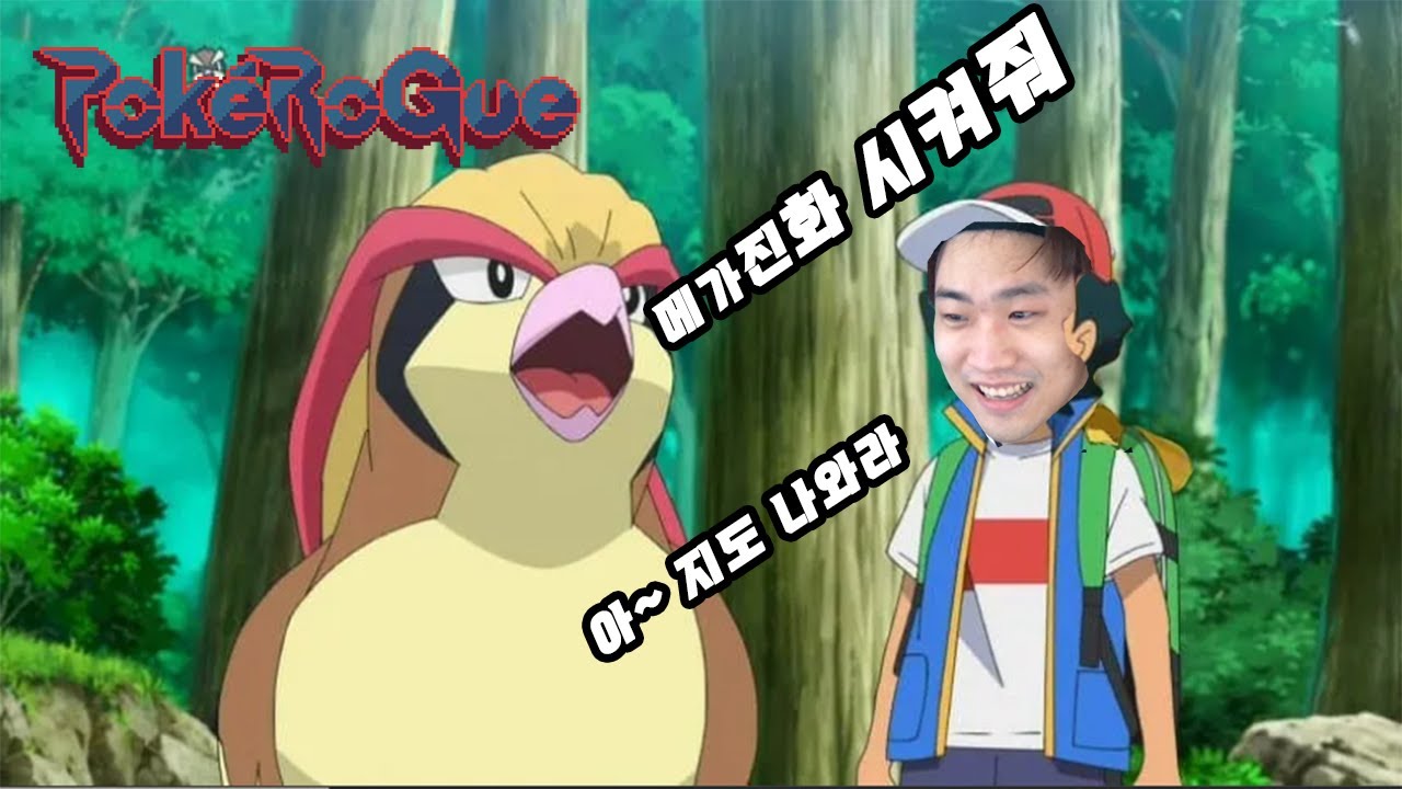 지우가 유기한 피죤투 한마리로 포켓로그 클래식 200층 가기