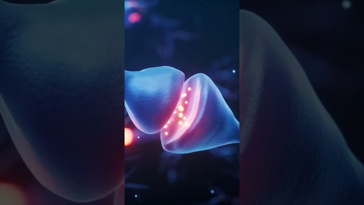 How Nerve Cells Work: The Basics of Neurons and the Nervous System 