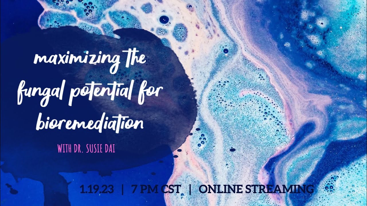 Maximizing the Fungal Potential for Bioremediation