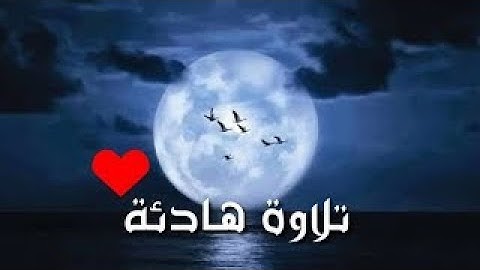 ارح سمعك.. تلاوة هادئة تريح القلب والعقل  ( سورة الانفال )