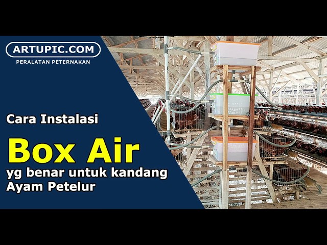 Cara instalasi Box Air yang benar untuk kandang AYAM PETELUR class=