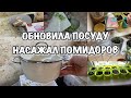 НЕ УДЕРЖАЛАСЬ!! ОБНОВИЛА ПОСУДУ!! Насажал Помидоров! Шикарный Салат!! Будни Мамы Влог