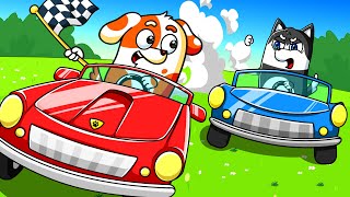 Hoo Doo in Big Car Vs Small Car  Vehicles Race of Hoo Doo and Friends | Hoo Doo Animation