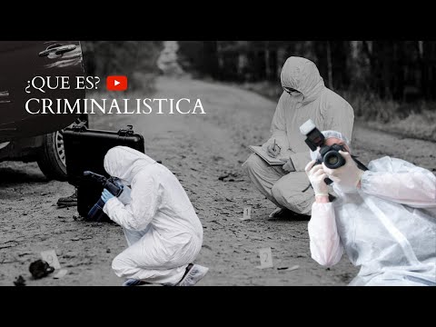 ¿Qué Es La Carrera De Criminalística Criminal?