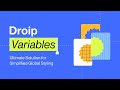 Global Stylings with Variables | Droip