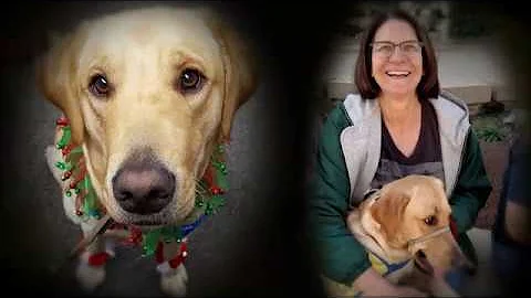 California Educators: Karen Riggs, Cowan Fundamental