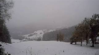 Elgoibar Elurra 2018