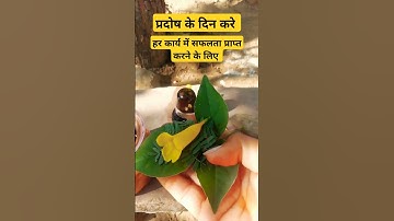 1 कनेर फुल और बेलपत्र शमी पत्र का य़ह उपाय प्रदोष दिन जरूर #pardeep ji mishra❤️🌹🌸