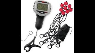 Rapala Tournament Touch Screen Scale Accuracy Test and Review