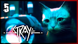 #5 STRAY - Записка от Момо и тайная комната отца Шеймуса