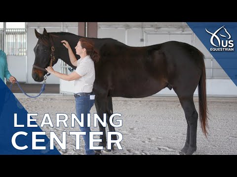 Learning Center Preview: Basic Horse Anatomy with Dr. Liz Barrett