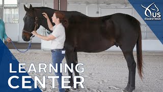 Learning Center Preview: Basic Horse Anatomy with Dr. Liz Barrett