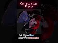 Stop Poppy from Spinning out of Control #subscribe #smallyoutuber