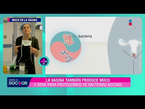 Vídeo: Moco En La Orina: ¿qué Lo Está Causando?