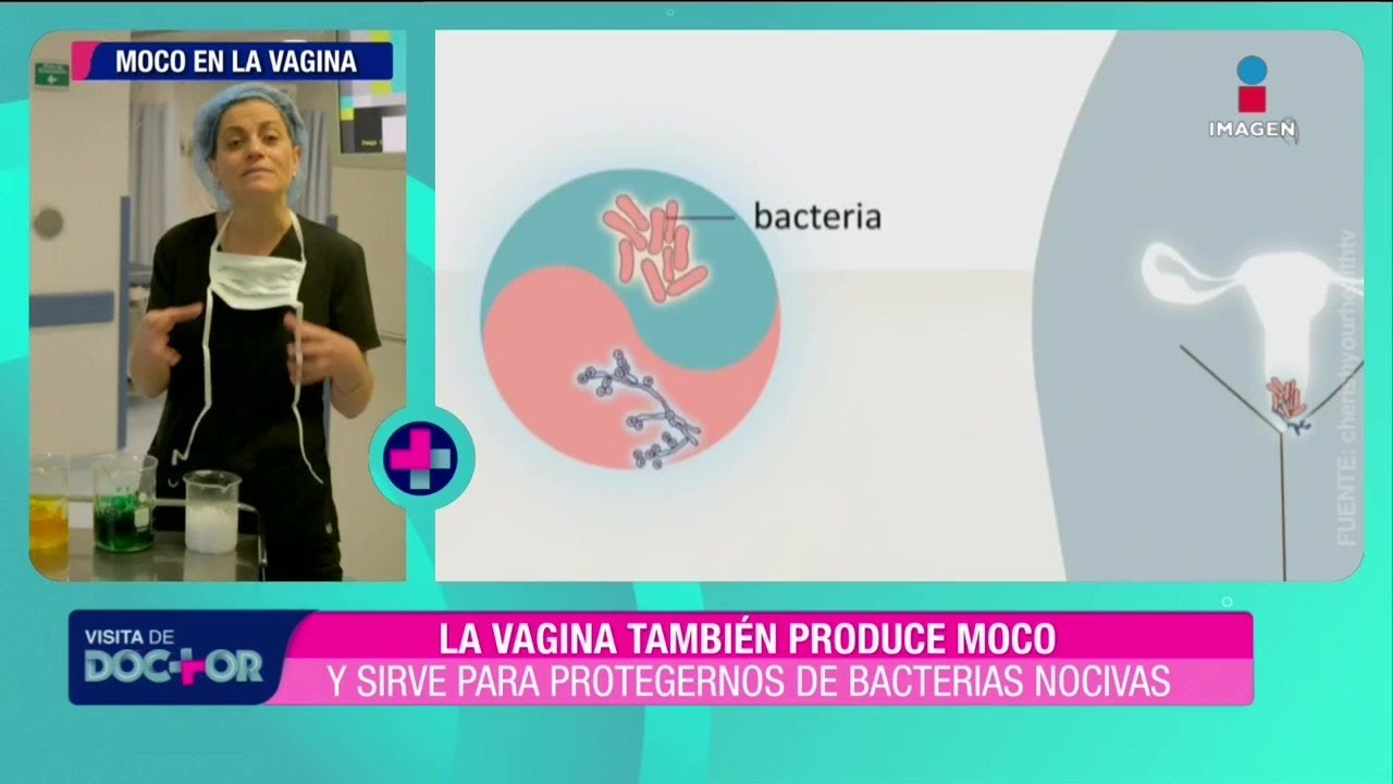 Moco vaginal: enfermedades según colores y texturas | Visita de Doctor ...