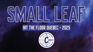 SMALL LEAF (2025) - Danse Chaos Dance