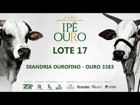 LOTE 17   OURO 3383