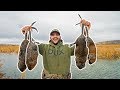 Trapping GIANT MUSKRATS at my FLOODED FARM!!! (My First Time)