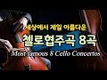 The 8 Most Beautiful Cello Concertos In The World Dvořák Cello Concerto Schumann Cello Concerto