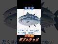 カツオ5連譜ダブステップを喰らえ！　　　#立秋 #ボカロオリジナル曲 #カツオ #音ゲー