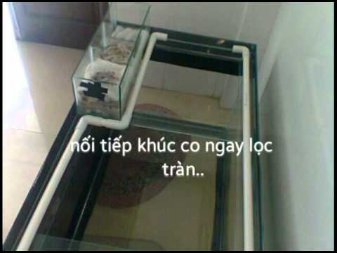 Video Nắp đậy hồ cá rồng có lọc tràn trên... - youtube