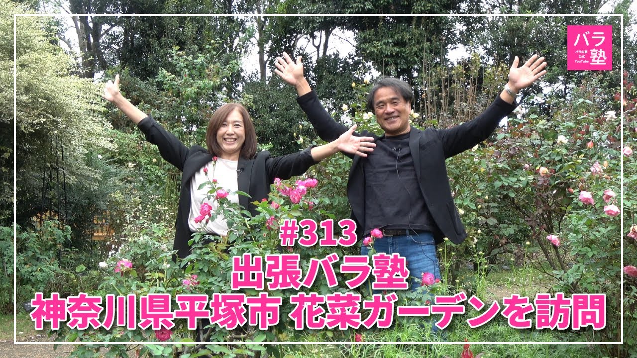 313 Visiting Rose School: Visiting Hana Garden in Hiratsuka