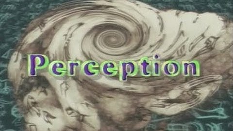 The Brain: Our Universe Within: Perception