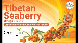 Full Dynamic Nutrition - Benefits of Tibetan Seaberry Guide