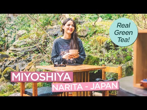 Traditional Japanese Sweets and Green Tea at Miyoshiya in Narita Japan