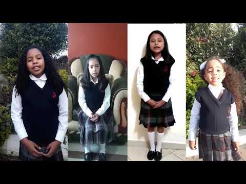 ALMA MISIONERA 'ENSAMBLE
