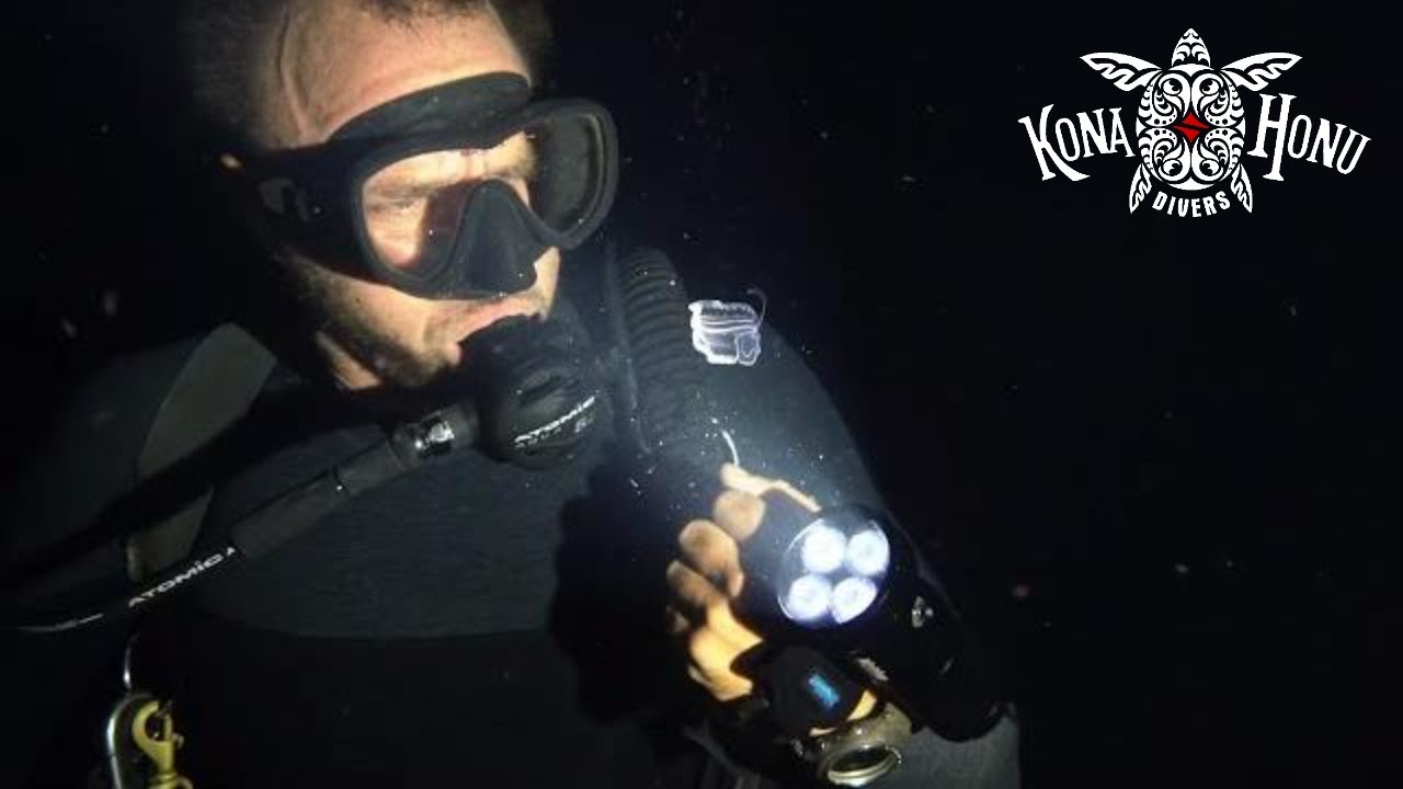 Blackwater Diving Kona, Hawaii Kona Honu Divers In the Night Time