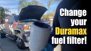 Duramax Maintenance Must-See: Change Fuel Filter & Learn California Diesel Secrets. Prolong Truck!