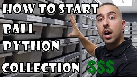 STARTING A BALL PYTHON COLLECTION | GUIDE
