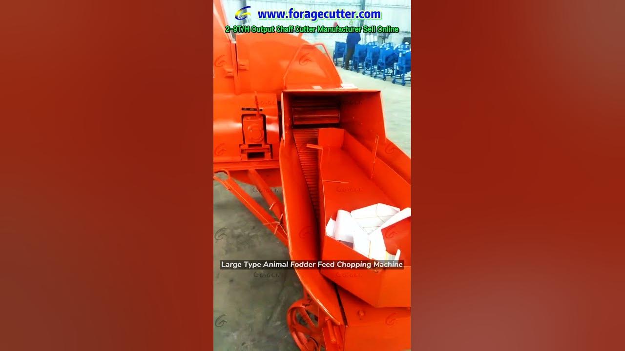 Large Type Animal Fodder Feed Chopping Machinery YouTube