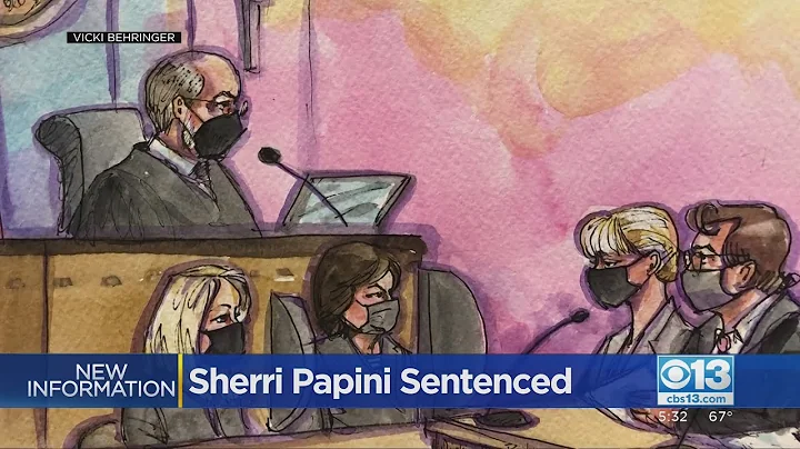 Judge to Sherri Papini during sentencing: "People ...