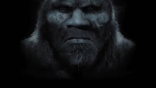 Military Veteran Has Sasquatch Sighting And Kandahar Mention