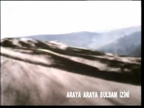 Arayu Arayu Bulsam İzini - Mehmet Erarabacı