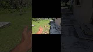 🚿🐘 जब मैं नहा रहा था… और खिड़की पर आ गई एक हथिनी! 😳