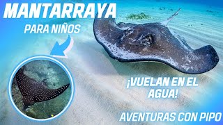 ¿Cómo Vuelan Las Mantarrayas En El Agua?🐟✈ | PARA NIÑOS by Aventuras con Pipo 4,239 views 1 month ago 3 minutes, 51 seconds